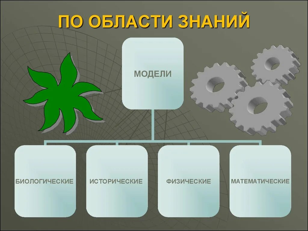 Знания виды знаний модель знаний. Области знаний. Уникальная область знаний. Биологические модели. Область знаний примеры.