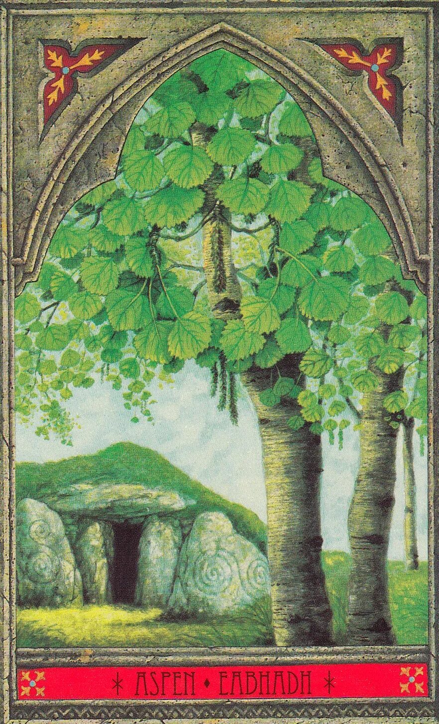 Оракул деревьев. Огам яблоня. тополь огам. огам осина. голоса деревьев кельтский оракул галерея.