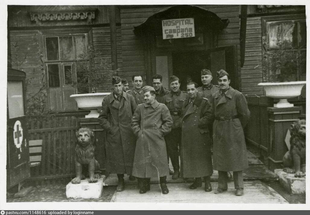 Дивизия гатчина. Голубая дивизия великий новгород. испанская голубая дивизия в великом новгороде. голубая испанская дивизия в григорово. учительская семинария в григорово.