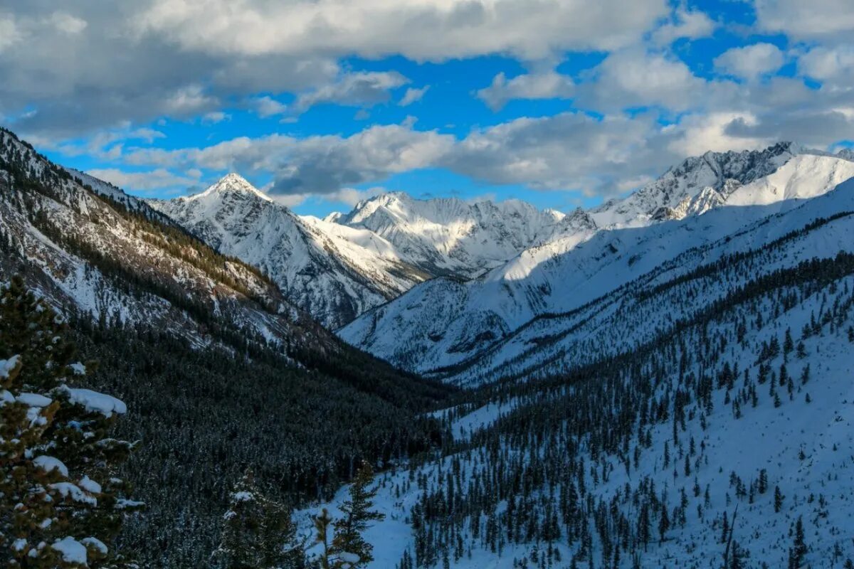 Кара тюрек алтайские горы. Горы южной сибири алтай. Горы саяны улан-удэ. Горы южной сибири белуха. Среднегорный рельеф южной сибири.