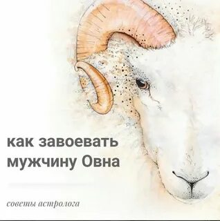 Овен пишет первый