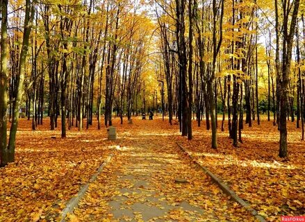 Осенний день в парке