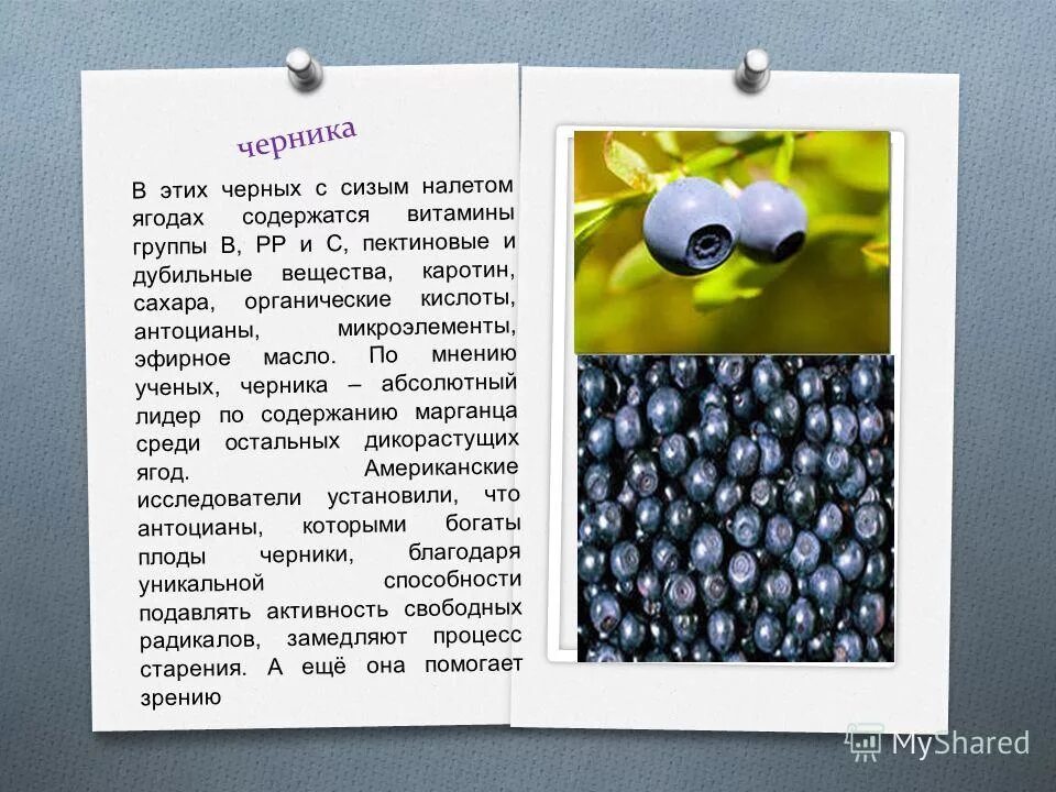 Содержание витаминов в чернике. Черника витамины. черника полезные вещества. витамины содержащиеся в чернике. черника микроэлементы.