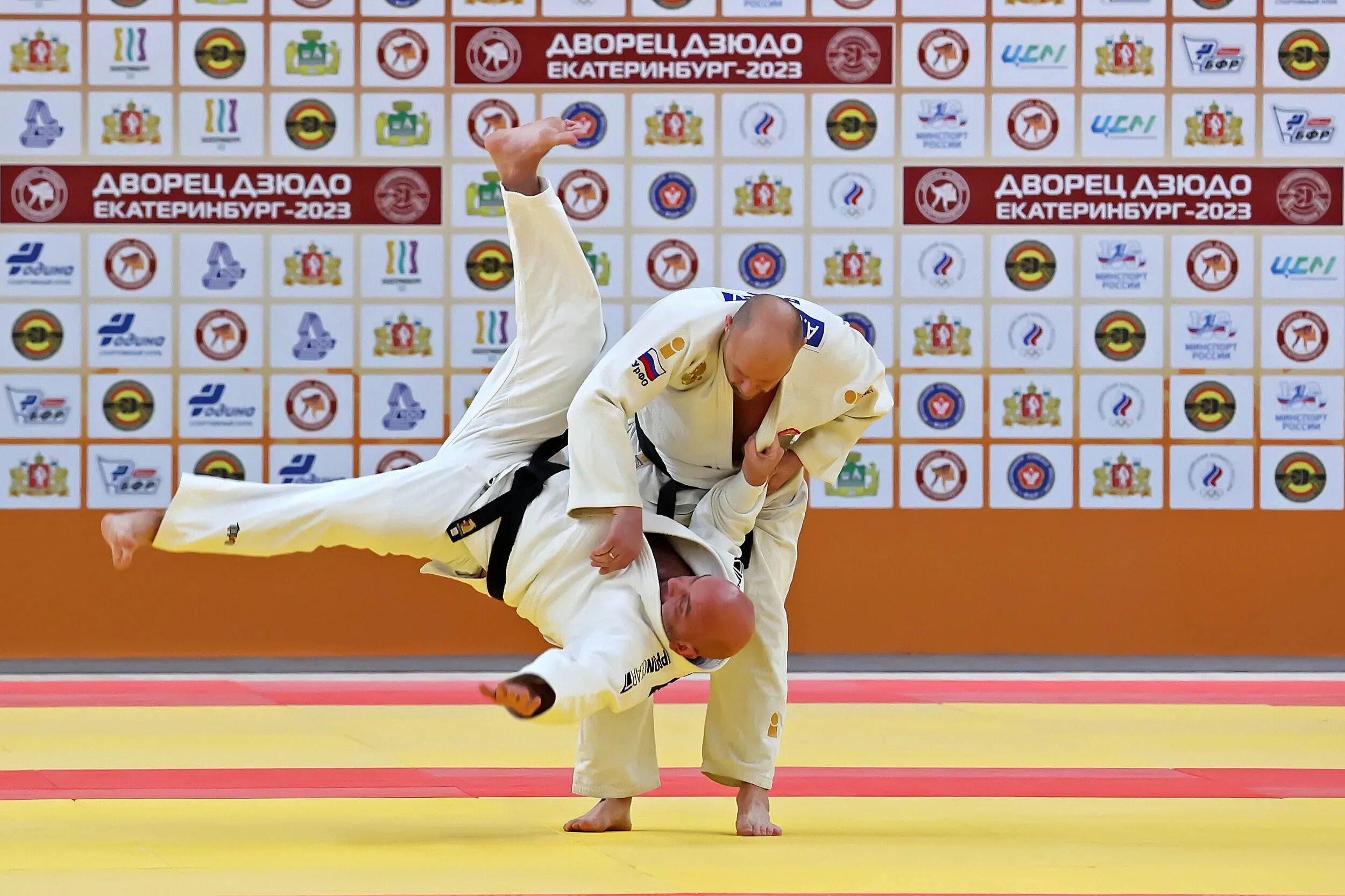 Дворец дзюдо екатеринбург академический. Дворец дзюдо академический. Дворец дзюдо екатеринбург. Дворец дзюдо в академическом г. Дворец дзюдо в академическом г.