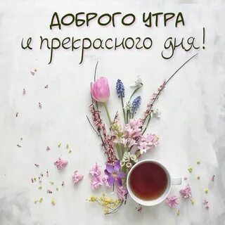 С восхитительным добрым