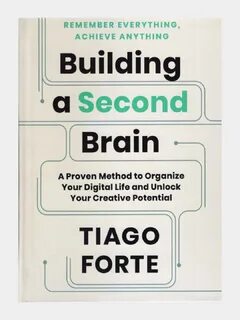 The second brain