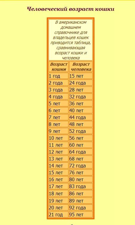 Возраст кошек в переводе на человеческий. Сколько лет кошке по человеческим меркам таблица. Коту 8 лет сколько по человеческим меркам таблица. Коту 6 лет сколько по человеческим меркам таблица. Как у кошек считается Возраст таблица.