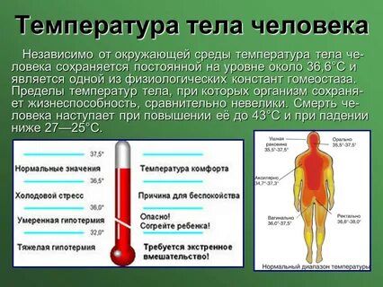 Температура поднимается утром и вечером