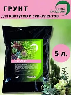 Почва для кактусов