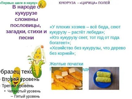 Кукуруза загадка