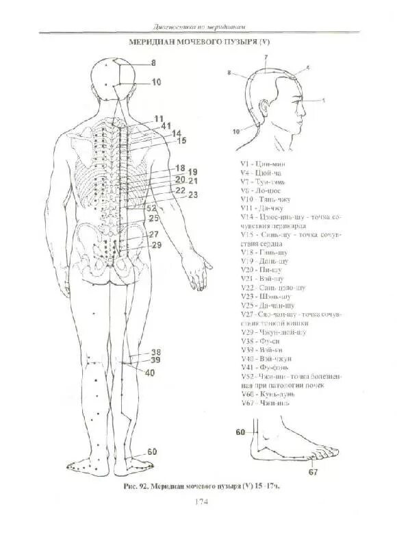 Названия точек человека. Меридиан мочевого пузыря точки акупунктуры. Меридианы человека схема и точки акупунктуры. Акупунктура меридианы тела человека схема. Энергетические меридианы человека схема.