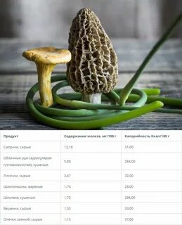 Какой продукту грибы