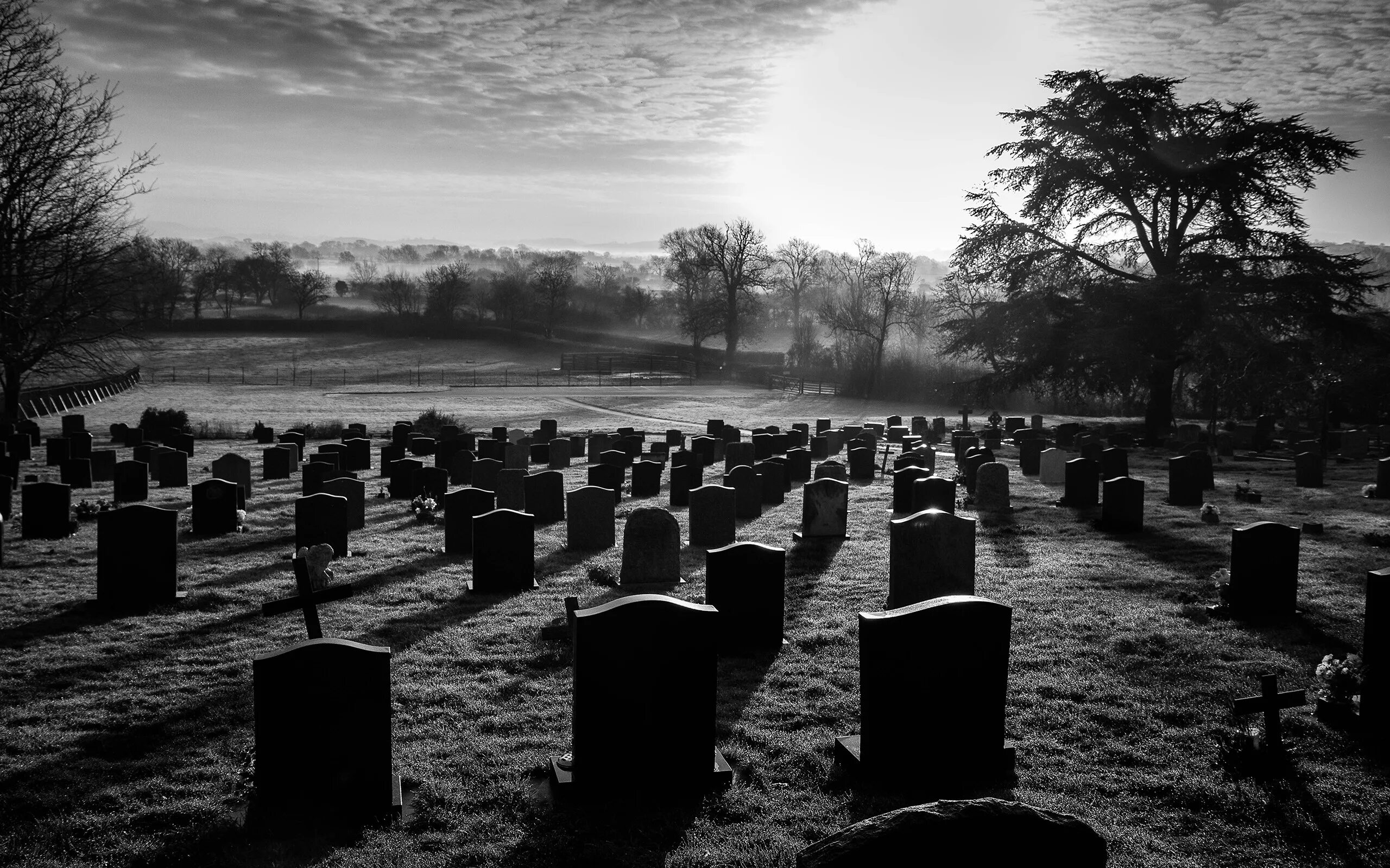 Черная краска graveyard. Кладбище Сталл Канзас. Кладбище фон. Красивое кладбище. Кладбище темное.