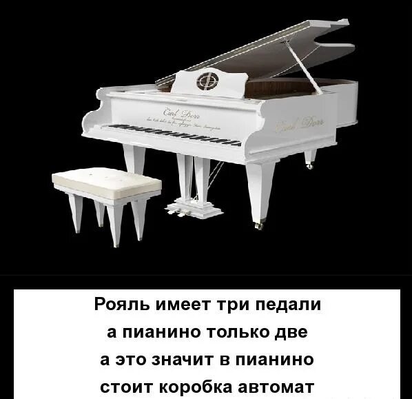 Шутки про фортепиано. Фортепиано прикол. Высказывания про пианино. Шутки про пианино.