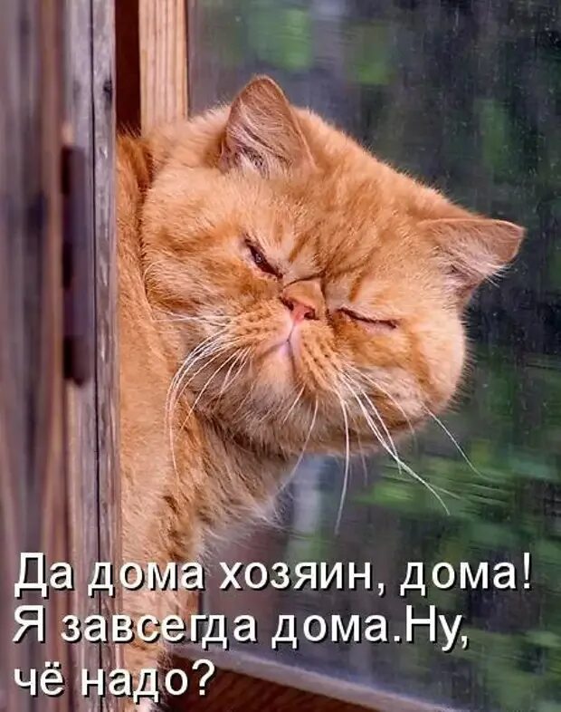 Ну сама открой