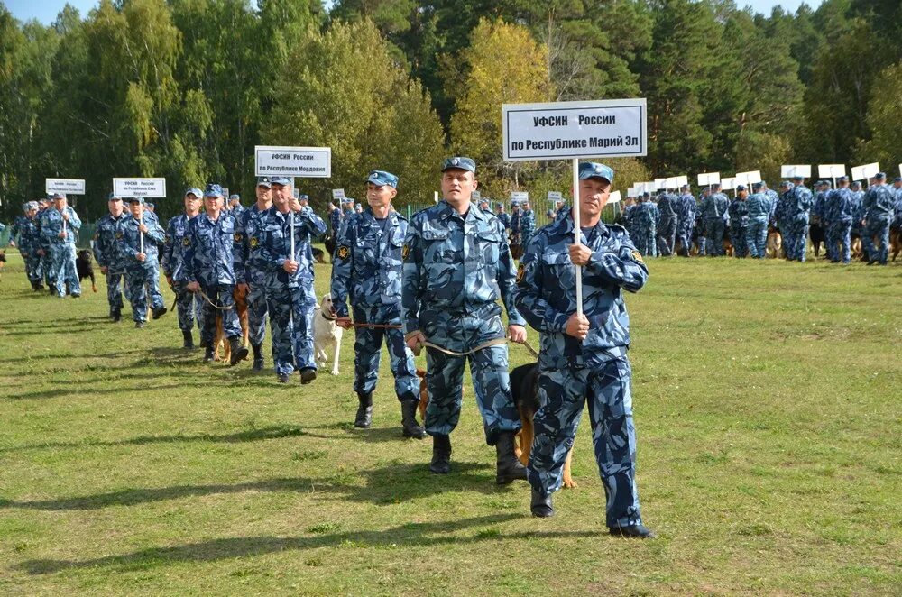 Фсин челябинской области. ИК-1 ГУФСИН по Челябинской области. ГУФСИН Челябинск кинолог. Чемпионат по многоборью кинологов ФСИН России.