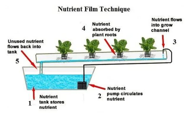 NFT изображения. NFT проекты. NFT творчество. Как создать NFT картинку. Nft как работает