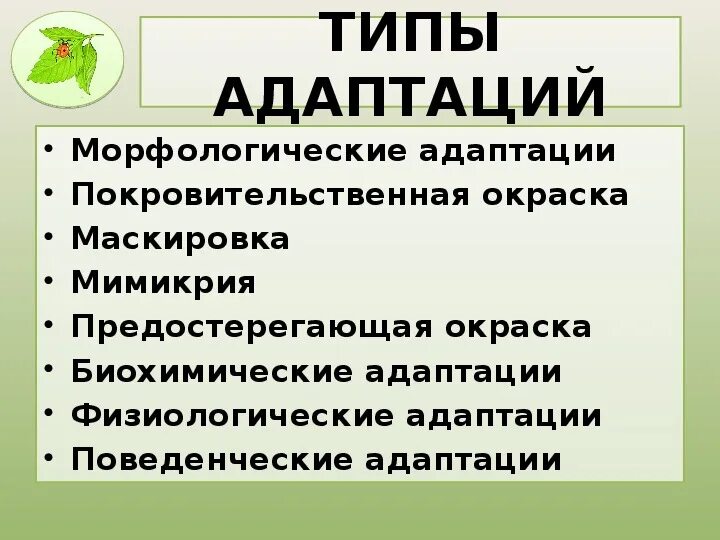 Примеры адаптации в биологии