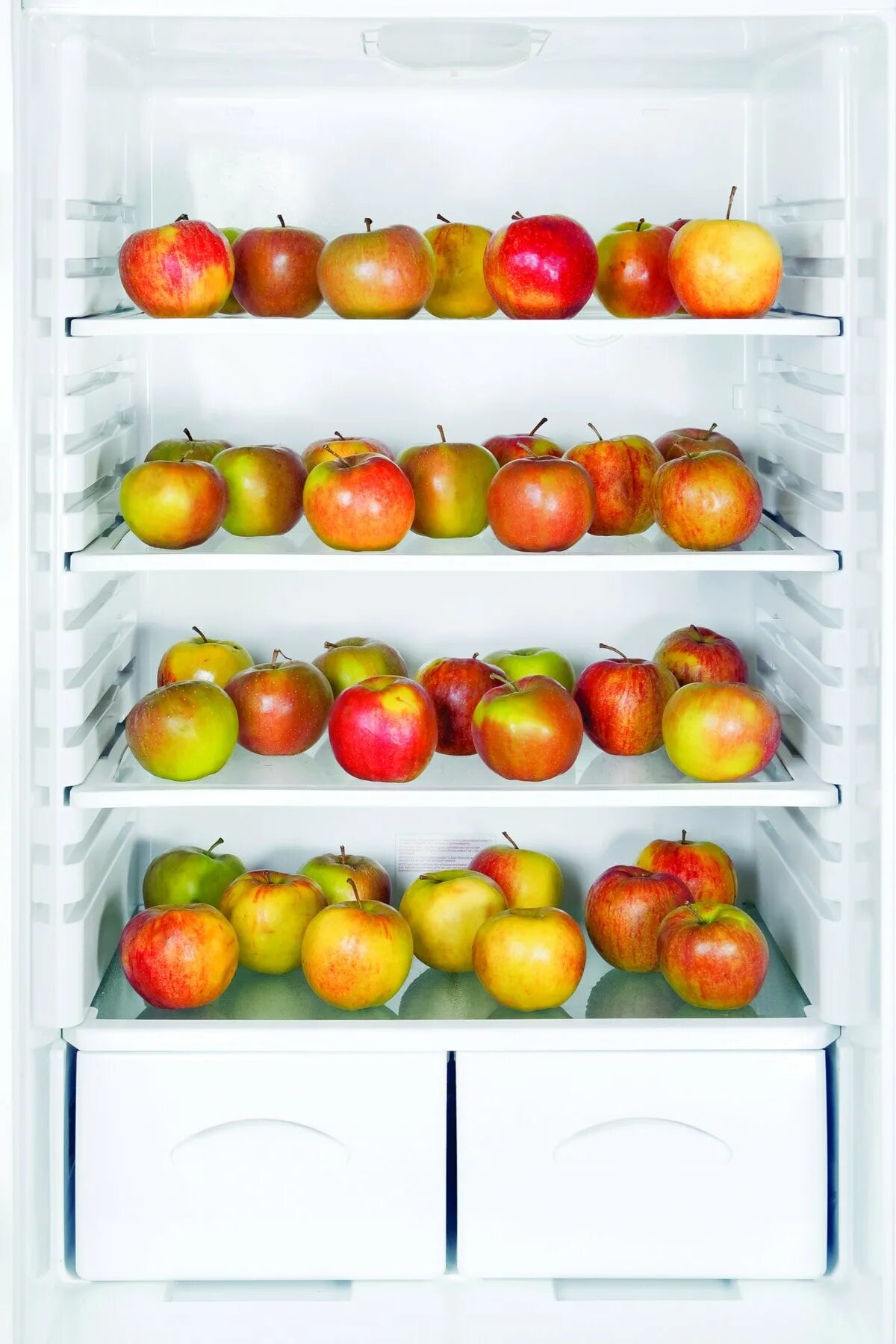 Сколько яблок в холодильнике. Яблоки в холодильнике. Холодильник для хранения яблок. Холодильник Apple. Одно яблоко в холодильнике.