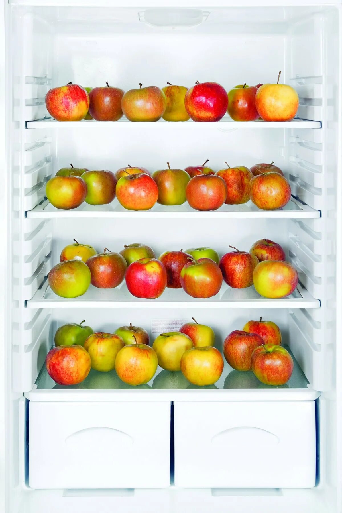 2 apples in the fridge