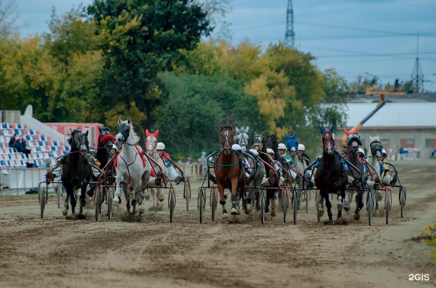 новосибирский ипподром фото. красноярский ипподром бега 2022. новосибирск главный ипподром на сегодня. новосибирский ипподром. новосибирский ипподром конюшни.