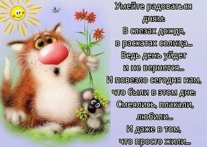 Желаю жить не унывать