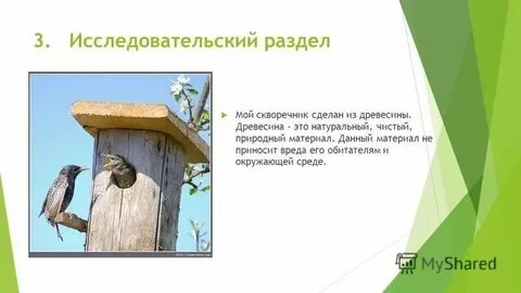 Скворечники какой падеж