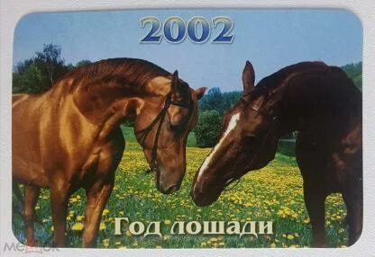2002 год лошади
