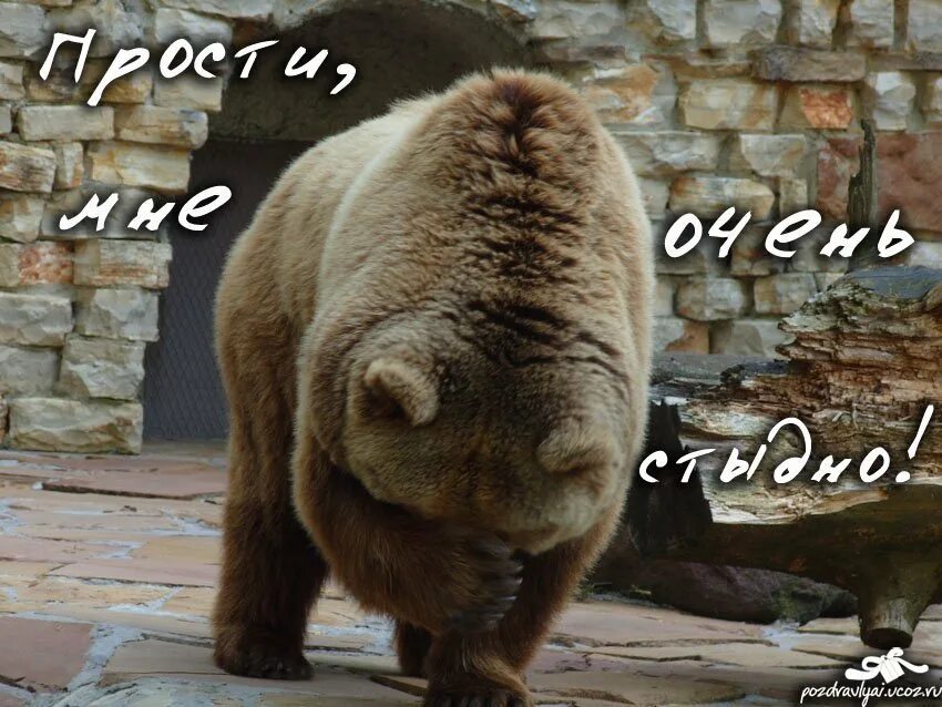 Прости я не знаю