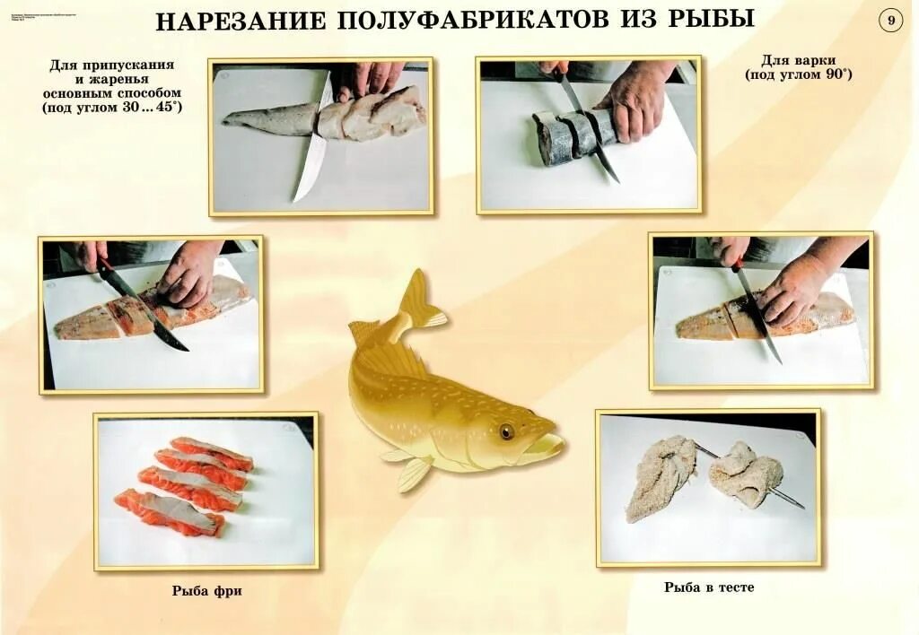 Обработка рыбы 7 класс. Первичная кулинарная обработка рыбы. Нарезка полуфабрикатов из рыбы. Виды нарезки рыбы. Способы разделки рыбы для приготовления полуфабрикатов.