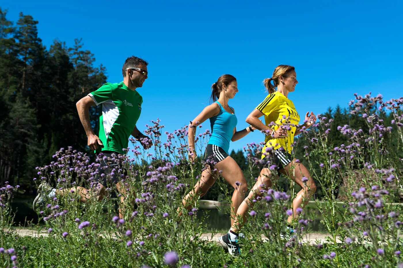 Техника оздоровительного бега. Трейлраннинг. Run in the Park. Running on the Park.