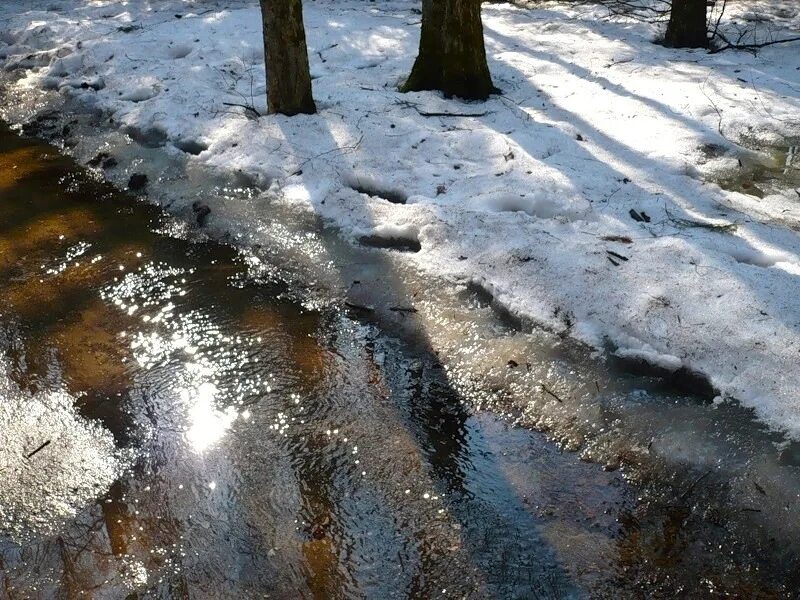 Как быстро растает снег. Тает снег. Таяние снега. Снег растаял.