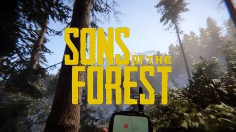 Sons on the forest