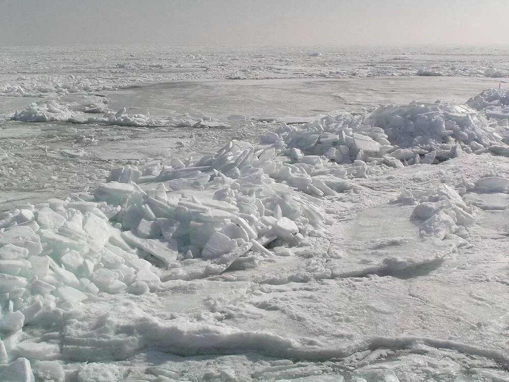 замерзшее черное море фото одесса. замерзшее море в сочи. замерзшее черное море 2012. замерзшее море в одессе. анапа море замерзло.