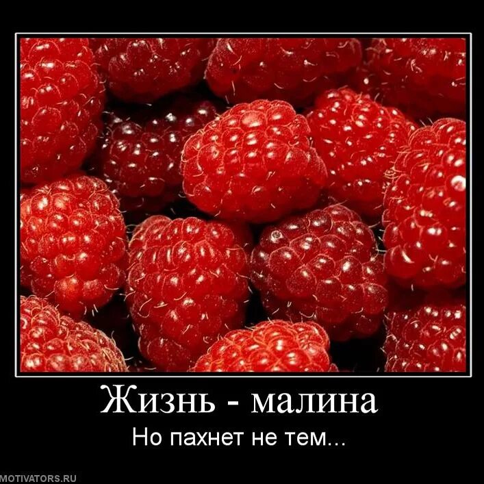 Малина или я вам не нянька босс. Няня для ребенка босса читать. Няньки фильм в шортах. Малина или я вам не нянька босс. Малина или я вам не нянька босс.