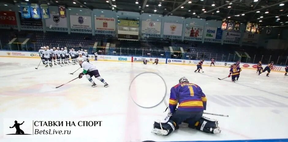 Металлург омские крылья. Омские крылья. Омские крылья горняк статистика личных. Крылья горняк прогноз. Омские крылья горняк статистика.