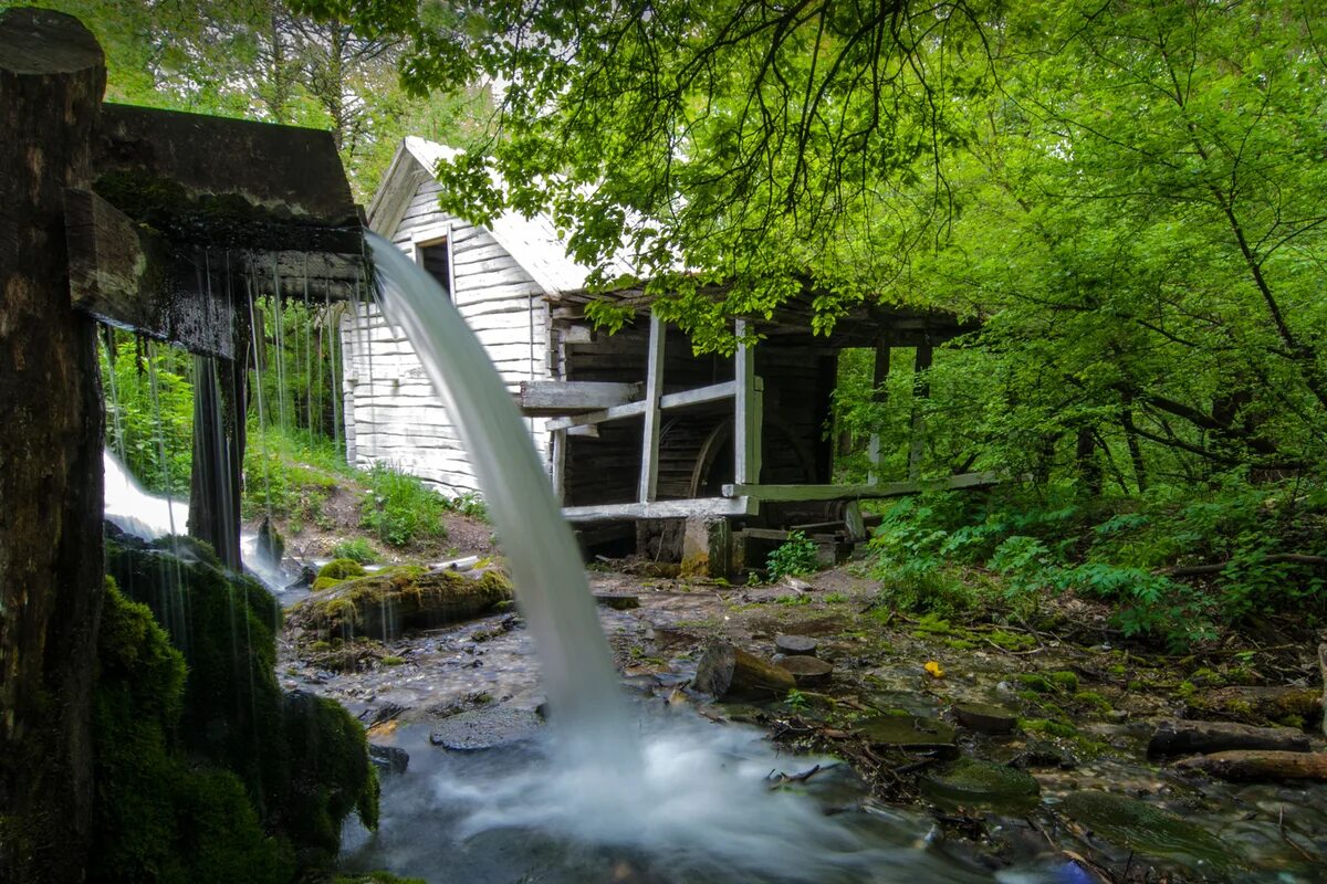 Фотографии родников. Родник Колодежанский Воронежская область. Водяная мельница Колодежное. Колодежное Подгоренский район Родник. Колодежанский Родник Колодежанский.