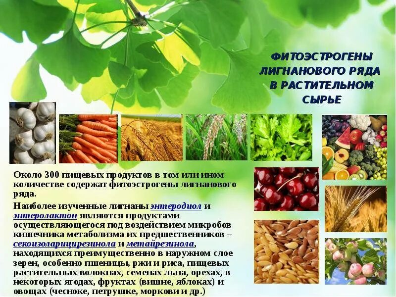 Фитоандрогены. Продукты, богатые фитоэстрогеном. Фитоэстрогены. Фитоэстрогены в продуктах. Гормоны растительного происхождения.