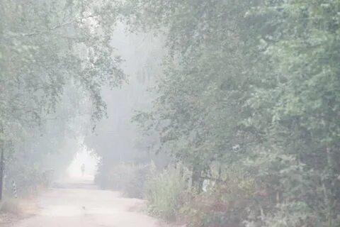 Накрывает пелена