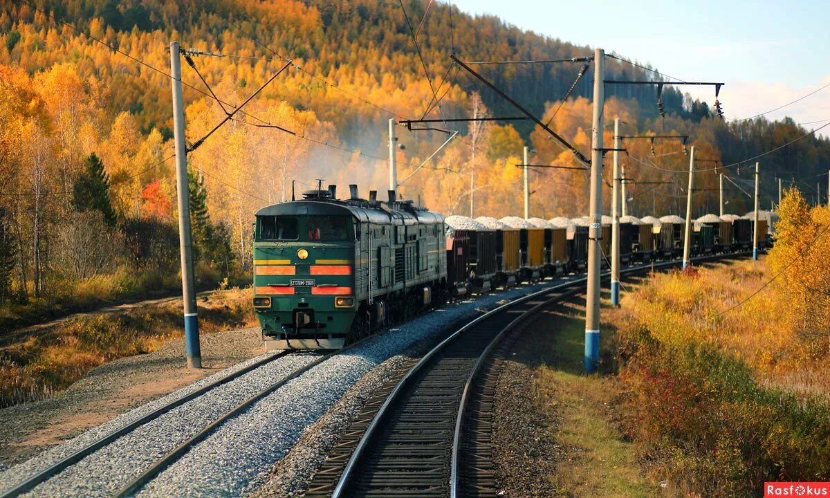 Система д ж т а