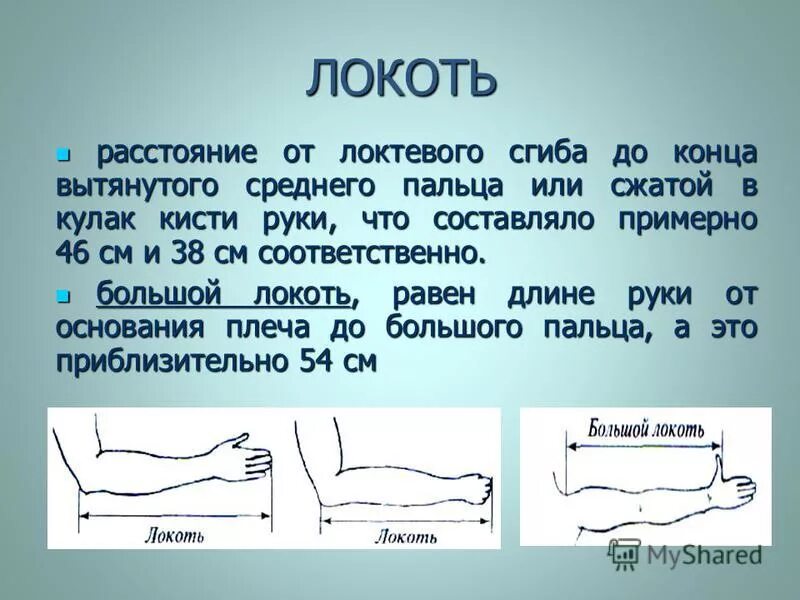 Сколько сантиметров рука. Размер длины локоть. Длина предплечья равна длине стопы. Длина стопы равна длине руки. Локоть (единица длины).