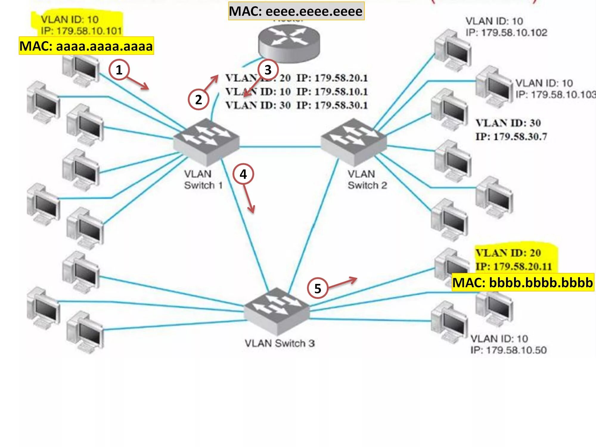 Wan id. Виртуальные локальные сети VLAN. Локальная сеть local area Network lan. Сеть предприятия VLAN. Транки виртуальных сетей (VLAN)..