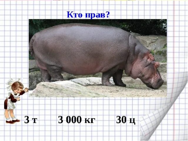 Морской контейнер 20 футов вид снизу. Что весит тонну. Презентация по биологии хоботные. Единицы массы таблица. Объем кубов одной тонны угля.