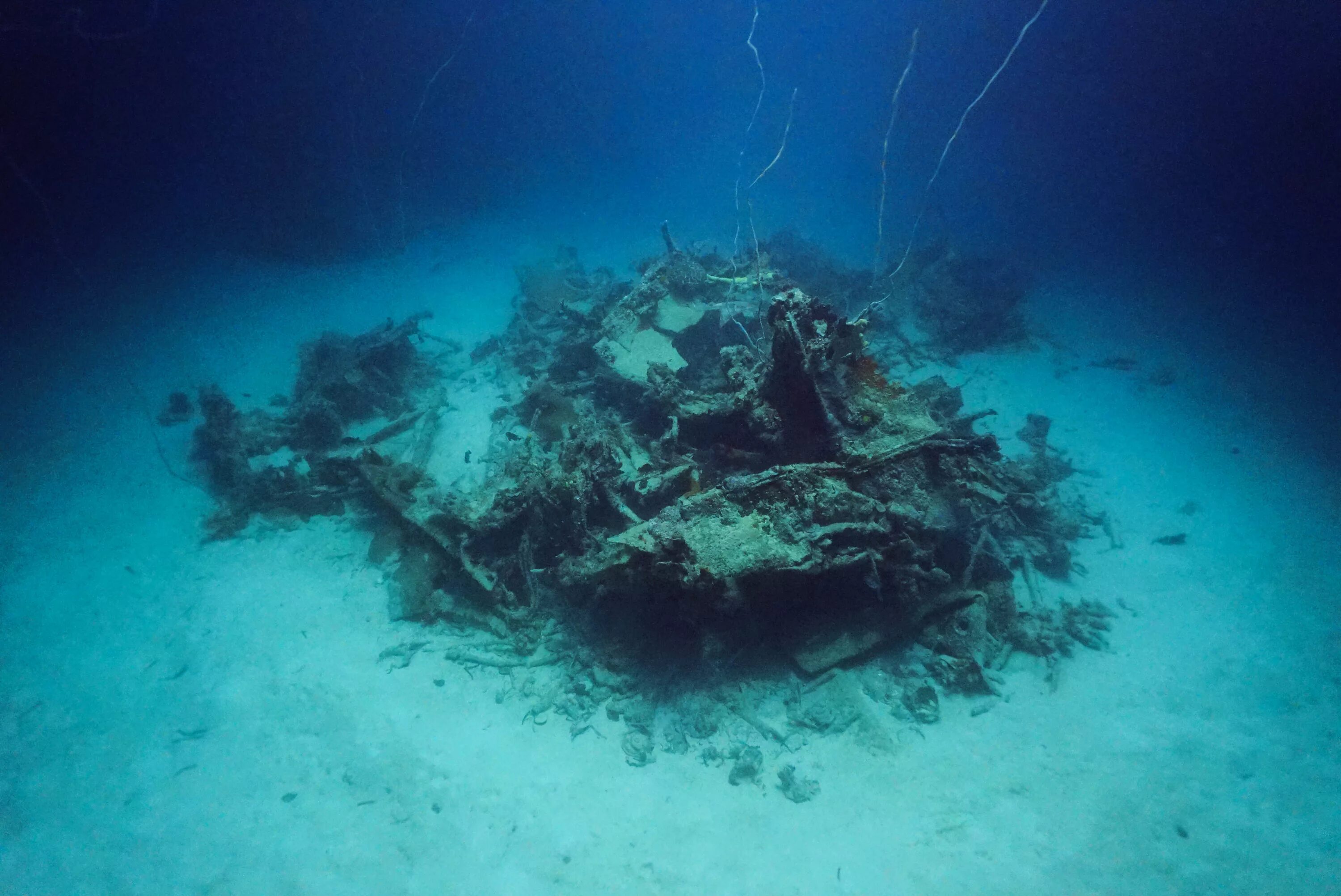 На дне ворд. Затонувший tbm. Затонувший Avenger. Палау самолет под водой. Затонувшие самолеты второй мировой войны.