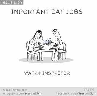 Cat jobs