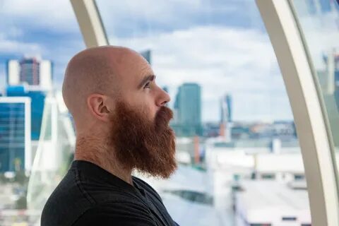 Паркер ростов