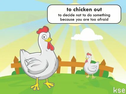 I am chicken