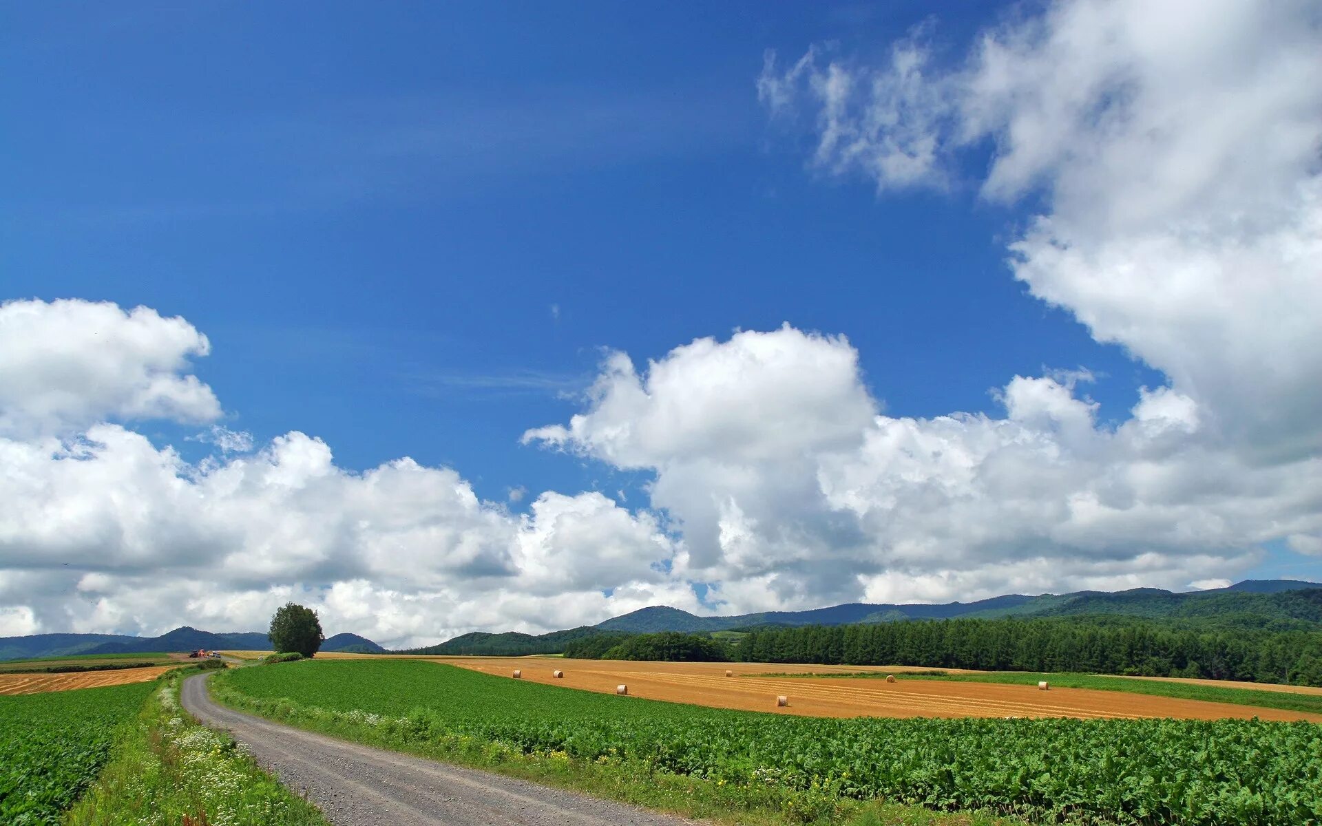 Пейзаж Горизонт. Природа небо. Поле Горизонт. Небо поле панорама.