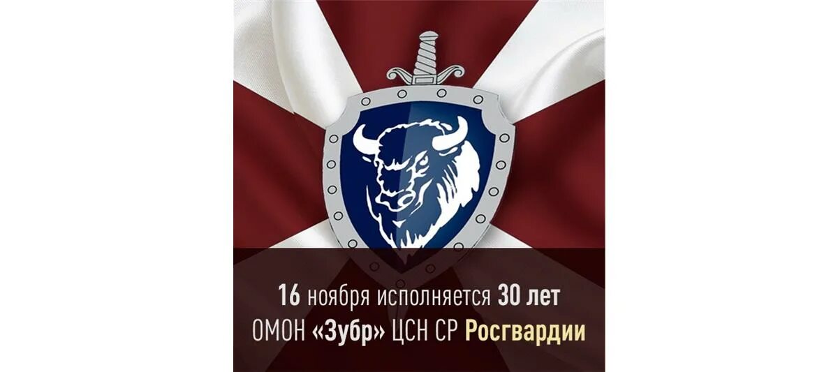 Ср росгвардии. Омон зубр цсн. омон зубр цсн ср росгвардии щелково. цсн ср зубр. цсн ср росгвардии зубр.