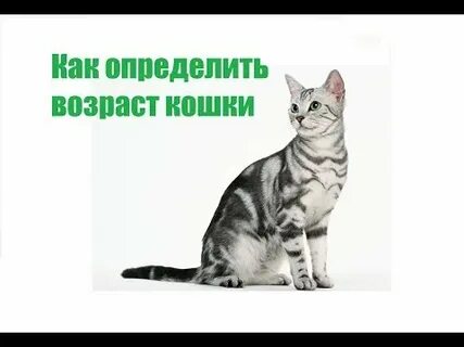 Распознать возраст